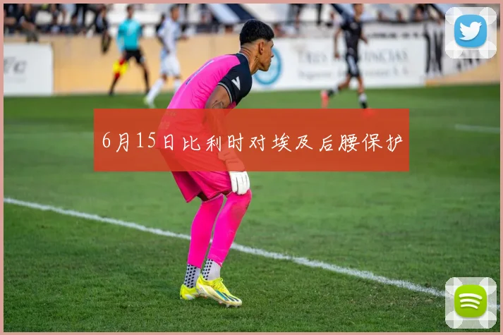 6月15日比利时对埃及后腰保护