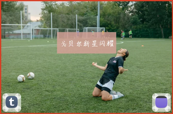 戈贝尔新星闪耀