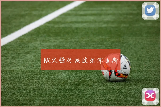 欧文强对抗波尔津吉斯