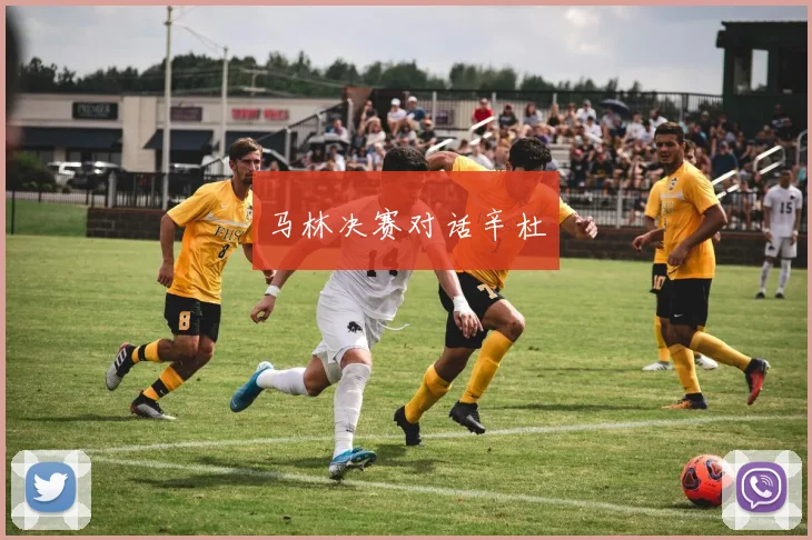 马林决赛对话辛杜