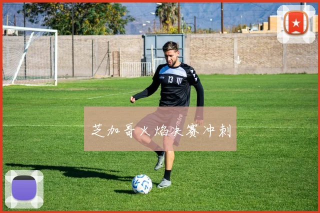 芝加哥火焰决赛冲刺