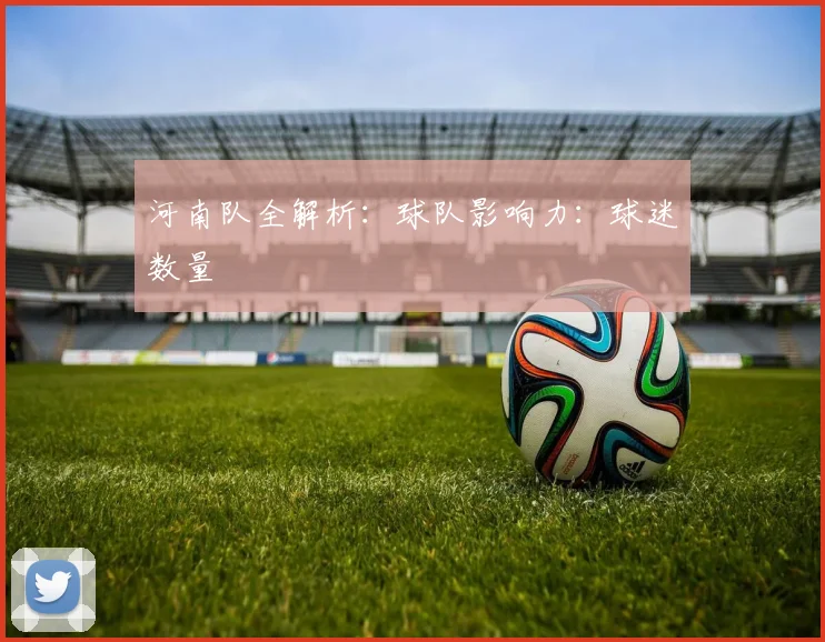 河南队全解析:球队影响力:球迷数量