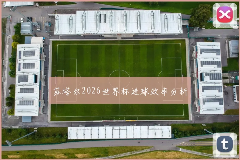 苏塔尔2026世界杯进球效率分析