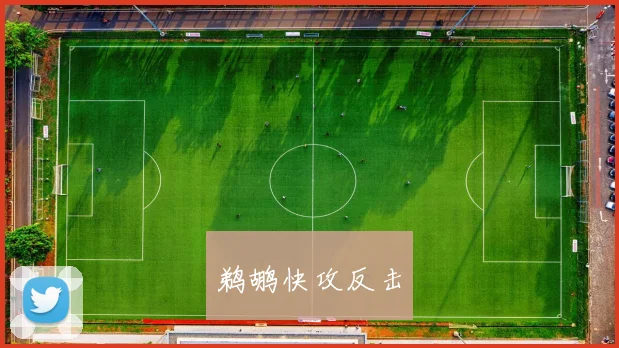 鹈鹕快攻反击