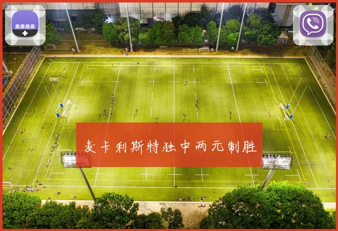 麦卡利斯特独中两元制胜