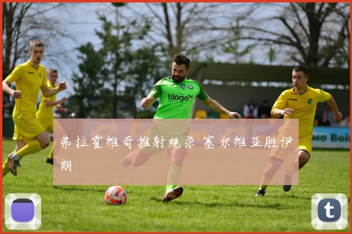 弗拉霍维奇推射绝杀 塞尔维亚胜伊朗
