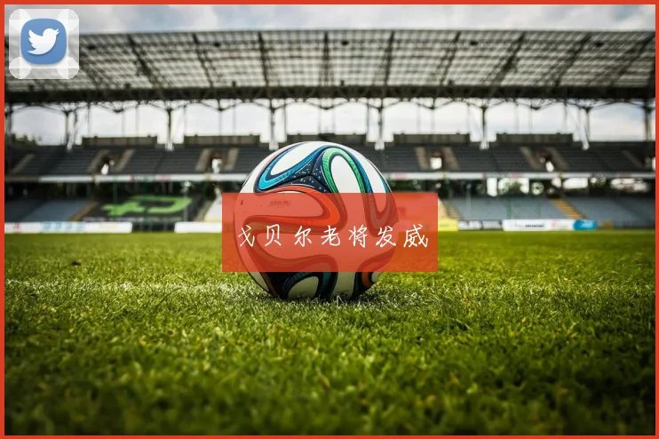戈贝尔老将发威