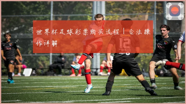 世界杯足球彩票购买流程｜合法操作详解