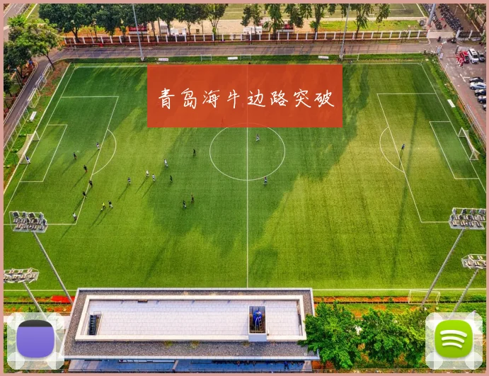 青岛海牛边路突破