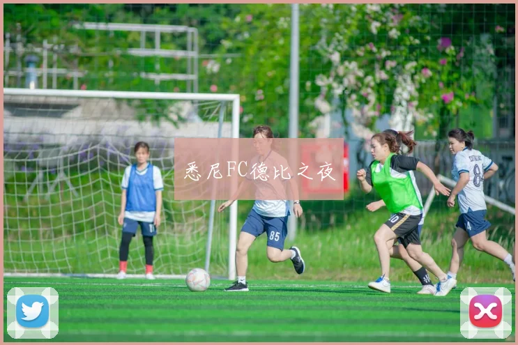 悉尼FC德比之夜