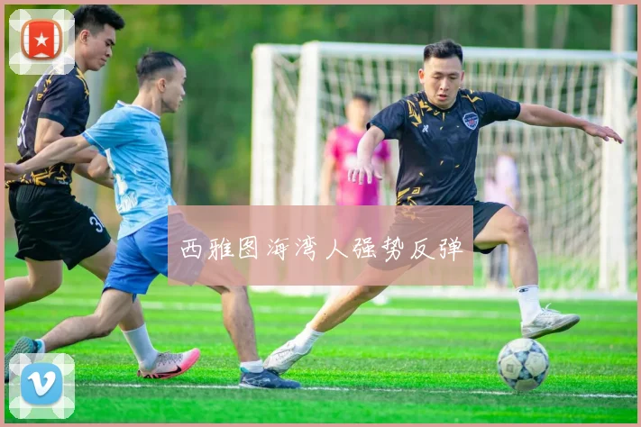 西雅图海湾人强势反弹