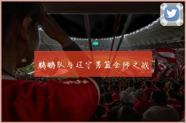 鹈鹕队与辽宁男篮会师之战