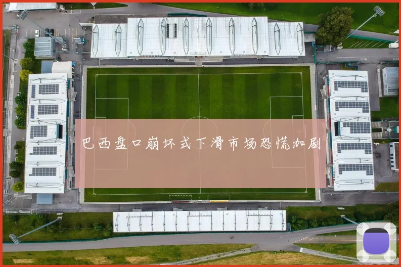 巴西盘口崩坏式下滑市场恐慌加剧