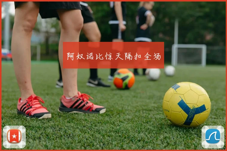 阿奴诺比惊天隔扣全场