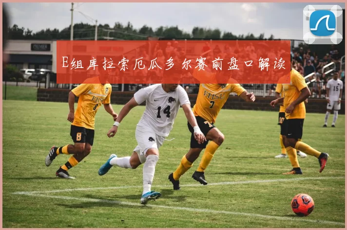 E组库拉索厄瓜多尔赛前盘口解读