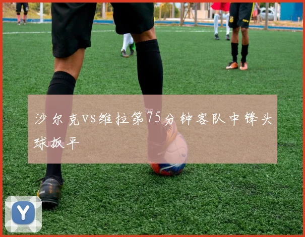 沙尔克vs维拉第75分钟客队中锋头球扳平