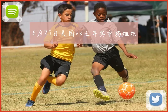 6月25日美国vs土耳其中场组织